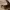 Fendi Luxury Shoulder bag Wanita tan cream photo 4