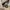 Fendi Luxury Shoulder bag Wanita tan cream photo 7