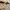 Fendi Luxury Shoulder bag Wanita tan cream photo 8