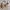 Fendi Luxury Shoulder bag Wanita tan cream photo 1