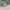 Y2K Cami top Wanita green photo 7