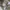 Hanes Vintage Streetwear Hoody Pria white photo 4