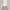 Summer dresses Dresses Wanita cream photo 2