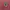 Supreme Streetwear Casual Sweater Pria burgundy pink photo 3