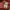 Supreme Streetwear Casual Sweater Pria burgundy pink photo 6