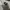 Stussy Streetwear Fleece Pria white photo 3