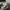 Stussy Streetwear Fleece Pria white photo 5