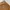 Carhartt Vintage Streetwear Pria Brown Orange