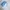 Kansai Yamamoto Indie Casual Casual shirt Pria white blue photo 6