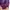 A Bathing Ape Sportswear Casual Sweater Pria purple photo 3