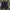 Shorts Pria Bottoms navy photo 2