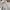Balenciaga Streetwear Y2K Hoody Pria pink gray photo 3