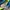 Pancoat Casual Vest Pria green blue photo 2