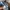 EDWIN Streetwear Jeans Pria multicolor photo 4