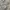 Polo Ralph Lauren Casual Casual shirt Pria white photo 4