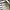 Polo Ralph Lauren Casual Casual shirt Pria white photo 6