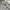 Polo Ralph Lauren Casual Casual shirt Pria white photo 3