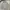 Polo Ralph Lauren Casual Casual Shirt Pria White