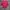 Champion Sweatshirts Pria Tops red photo 1