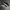 Puma Sportswear Casual Sneakers Pria white black photo 2