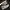 Converse Streetwear Casual Sneakers Pria brown photo 4