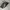 Converse Streetwear Sportswear Sneakers Pria navy photo 4
