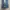 Uniqlo Streetwear Jeans Pria multicolor photo 5