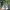 New Balance Sportswear Sneakers Pria white green photo 6