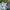 New Balance Sportswear Sneakers Pria white green photo 2