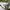 Nike Streetwear Sneakers Pria white gray photo 3