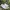 Nike Streetwear Sneakers Pria White Gray