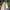 Nike Streetwear Sneakers Pria white gray photo 5
