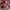 Vintage Babydoll dress Wanita burgundy green orange photo 5