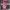 Vintage Hat Wanita pink photo 3