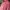 Vintage Hat Wanita pink photo 3