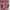 Vintage Hat Wanita pink photo 4
