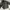 Puma Streetwear Track jacket Pria black photo 2