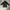 Puma Streetwear Track jacket Pria black photo 1