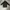 Puma Streetwear Track Jacket Pria Black