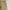Dickies Vintage Streetwear Casual pants Pria tan photo 8