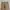 Dickies Vintage Streetwear Casual pants Pria tan photo 6