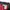 Nike Vintage Y2K Windbreaker Pria white red black photo 3