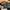 ECKO UNLTD Streetwear Y2K Hat Pria black photo 5