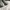 Adidas Sneakers Pria gray blue photo 4