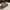 Adidas Sneakers Pria white black photo 6