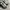 Adidas Sneakers Pria white black photo 3