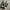 Adidas Sneakers Pria white black photo 4