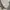 Isabel Marant Luxury Hoody Pria gray photo 3