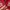 Polo Ralph Lauren Y2K Track jacket Wanita red cream photo 5