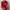 Polo Ralph Lauren Y2K Track jacket Wanita red cream photo 3